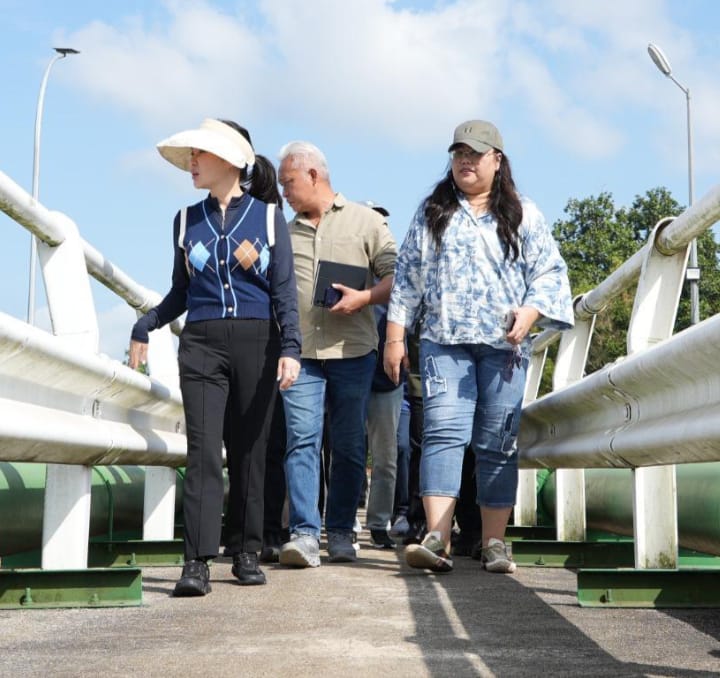 Wakil Kepala BP Batam Komitmen Benahi Permasalahan Air, Wilayah Stres Area Jadi Prioritas