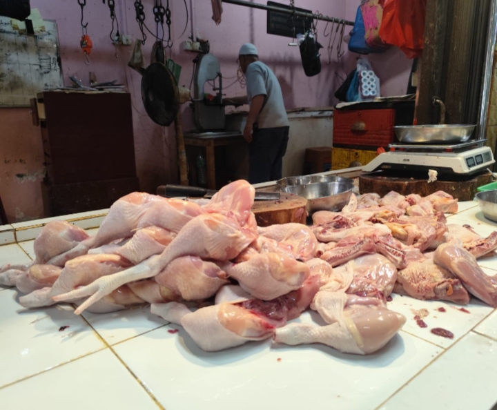 Keterangan Poto: Stok Ayam Potong Melimpah dan Harga Pangan Stabil. (foto/ist)