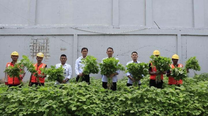 Lapas Batam Kembangkan Sektor Pertanian Terpadu, Panen Bayam untuk Dukung Ketahanan Pangan