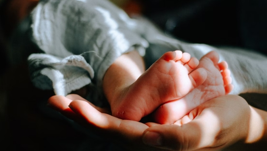 Viral Penggerebekan Rumah Bidan di Pakem Sleman, Terungkap jadi Tempat Penitipan 11 Bayi Tanpa Izin Operasional